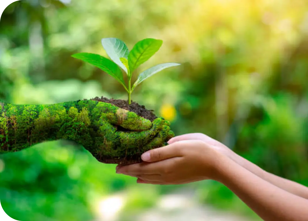 social-welfare-Environment